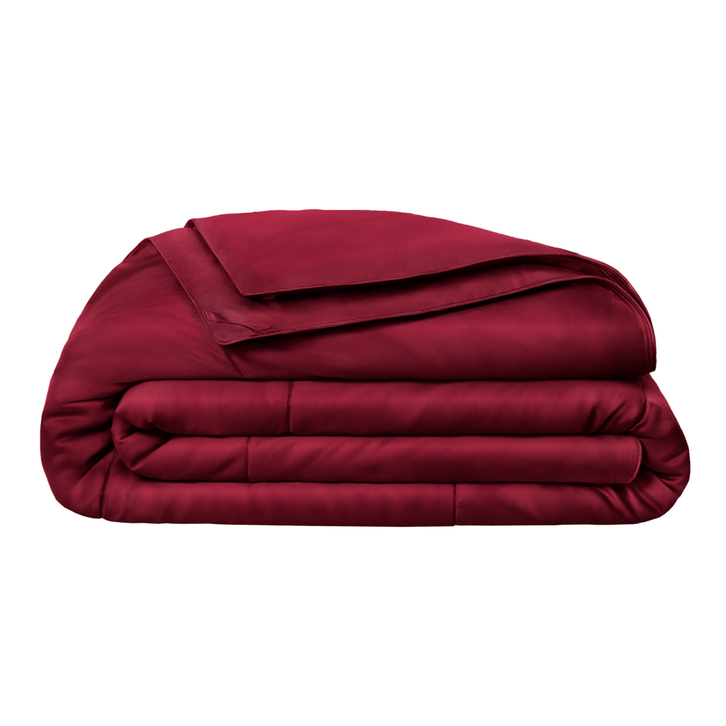 THE REGULATOR COMFORTER