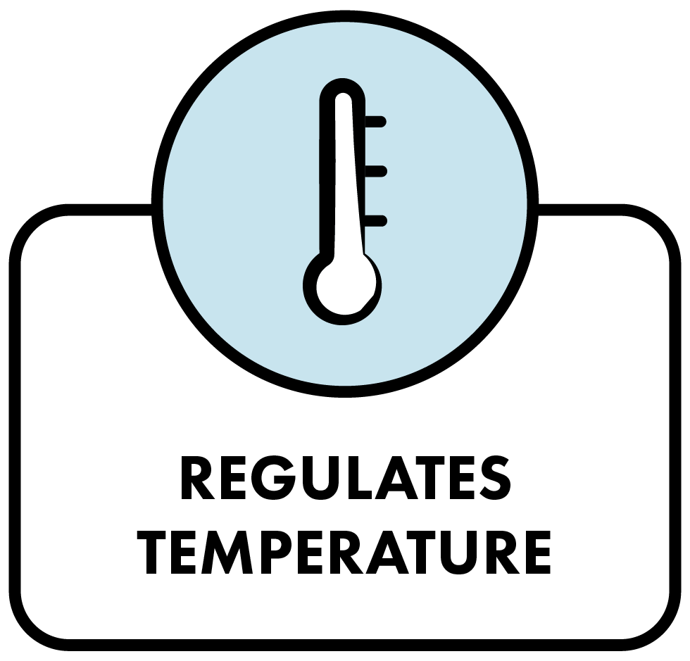 Regulates Temperature