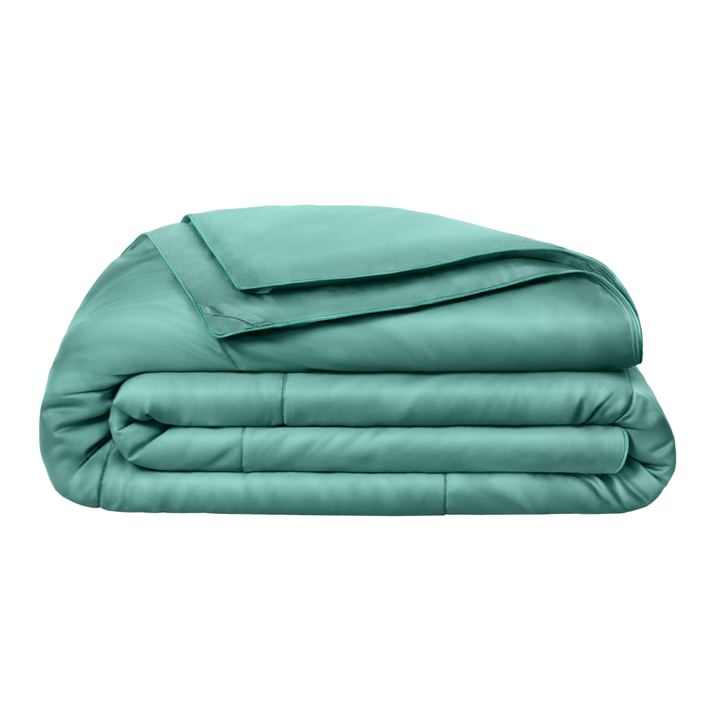 THE REGULATOR COMFORTER